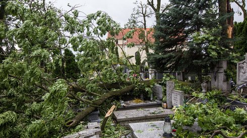  Zniszczenia po nawałnicy w miejscowości Lotyń, nieopodal Suszka (fot. PAP/ Dominik Kulaszewicz)