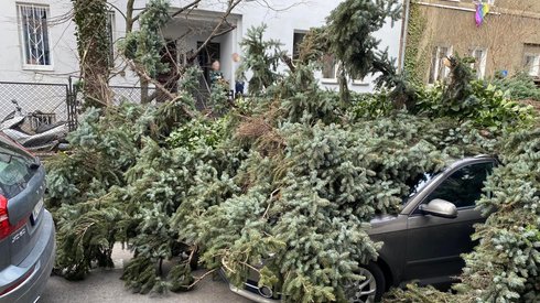 Połamane drzewa na warszawskiej Ochocie