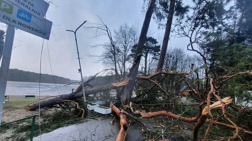 Skutki wichur w Szczecinie (źródło: UM Szczecin)