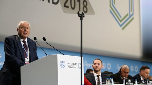  	David Attenborough podczas wystąpienia na COP24