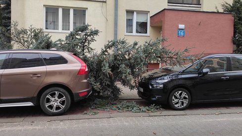 Warszawa Kabaty (fot. Anna Chabuda, Onet)