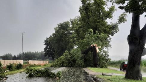 Korzeniewo,  w województwie pomorskim, w powiecie kwidzyńskim