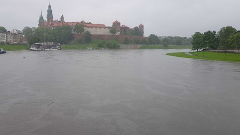 Stan Wisły w Krakowie (Fot. Patryk Motyka/Onet)