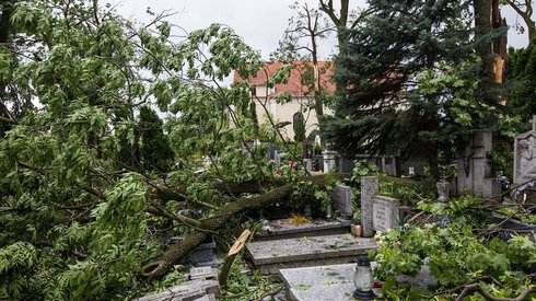 Zniszczenia po nawałnicy na cmentarzu św. Piotra i Pawła w Gnieźnie (fot. PAP/ Marek Zakrzewski)