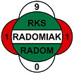 Pogoń Szczecin – Radomiak - Figure 3