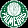 Palmeiras Sao Paulo
