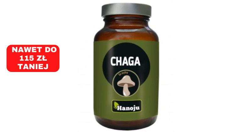 Chaga Ekstrakt 400 mg – suplement diety na układ pokarmowy