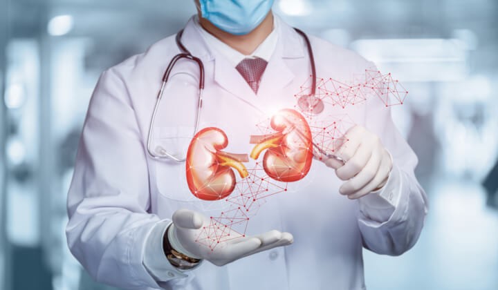 Schorzenia nerek - profilaktyczne badania laboratoryjne