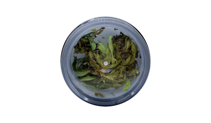 Susz CBD Deep Purple 1g na nerwy