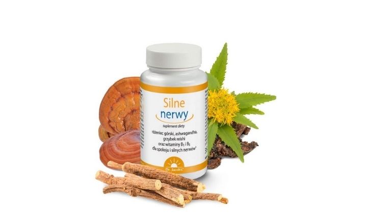 Silne nerwy - suplement diety z różeńcem i Ashwagandhą