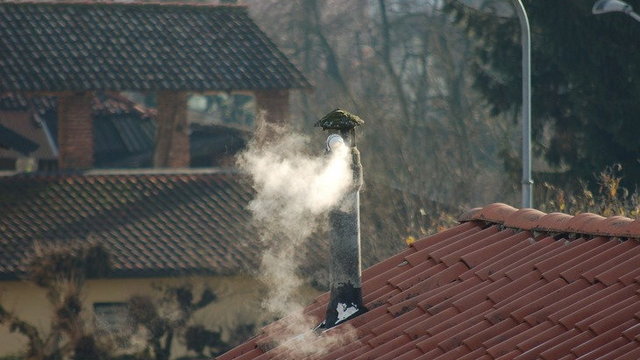 „The Lancet” o polskim smogu: szkodzi najbardziej młodym kobietom i osobom o niskich dochodach z małych miast - Artykuły - Biotechnologia.pl