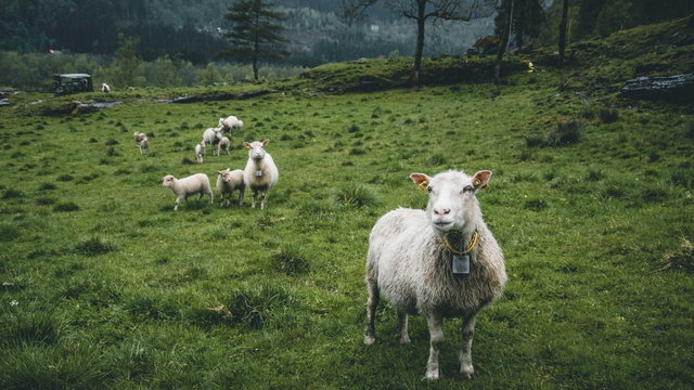 Wielkanoc w Norwegii - Påske - Kierunek Norwegia