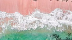 Różowa plaża: cud natury czy efekt działalności człowieka?