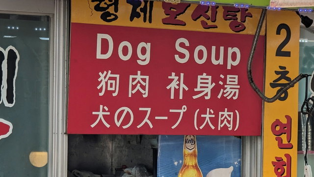 Koreańczycy protestują przeciwko zakazowi jedzenia psiego mięsa