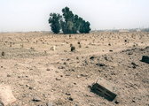 Podróż 050: Arabia Saudyjska cz.9 – Cmentarze wahhabickie w Rijadzie i Abha