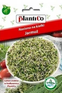 Nasiona i cebule - Plantico Nasiona na kiełki jarmuż - miniaturka - grafika 1