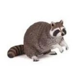 Figurki dla dzieci - Szop pracz - miniaturka - grafika 1