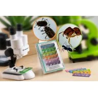 Mikroskopy i lupy - Bresser Mikroskop Junior Experiment Set Microscopy Starter Set 8859470 - miniaturka - grafika 1