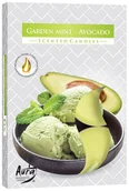 Świece - Podgrzewacze Zapachowe Bispol 4H Mięta Ogrodowa - Awokado 6Szt. - miniaturka - grafika 1