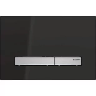 Geberit Sigma50 Przycisk spłukujący do WC czarny RAL 9005 115.788.DW.2 - Przyciski spłukujące - miniaturka - grafika 1