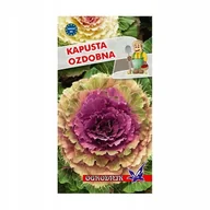 Nasiona i cebule - Kapusta ozdobna mieszanka 0,5g / O / - miniaturka - grafika 1