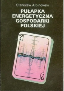 Pułapka energetyczna gospodarki polskiej - Technika - miniaturka - grafika 1