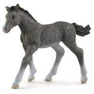 Figurki dla dzieci - Schleich Figurka Źrebię rasy trakeńskiej 465217 - miniaturka - grafika 1