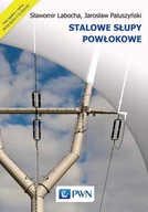 E-booki - nauka - Stalowe słupy powłokowe - miniaturka - grafika 1
