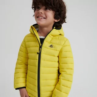 Kurtki i płaszcze dla chłopców - Reserved Pikowana kurtka z kapturem - Zielony - grafika 1