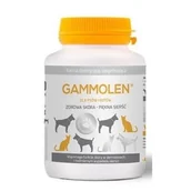 Suplementy i witaminy dla psów - Gammolen preparat poprawiający kondycję skóry 60 kaps - miniaturka - grafika 1