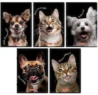 Zeszyty szkolne - Zeszyt A5/80K kratka z marginesem Animal (5szt) - miniaturka - grafika 1