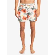 Kąpielówki męskie - Spodenki kąpielowe męskie Quiksilver Everyday Garden - miniaturka - grafika 1
