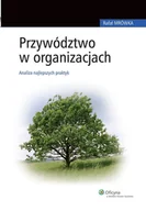 E-booki - biznes i ekonomia - Przywództwo w organizacjach. Analiza najlepszych praktyk - miniaturka - grafika 1