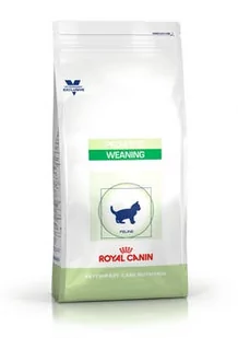 Royal Canin Pediatric Weaning 2 kg - Sucha karma dla kotów - miniaturka - grafika 1