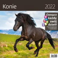 Kalendarze - Sztuka Rodzinna Kalendarz 2022 30x30 Konie z naklejkami LP53-22 - miniaturka - grafika 1