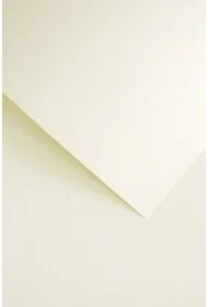 Karton ozdobny A4 krem 220g len op20ark GALERIA PAPIERU 201832 ARG - Zabawki kreatywne - miniaturka - grafika 1