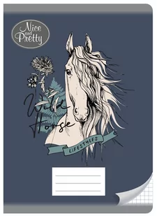 Beniamin NICE&PRETTY Zeszyt w kratkę A5/32k - Zeszyty szkolne - miniaturka - grafika 1
