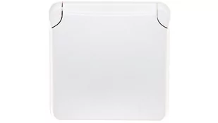 Legrand 070721 PLEXO Gniazdo 2p+z 16 a antybakteryjne białe - Gniazdka elektryczne - miniaturka - grafika 1