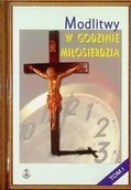 Religia i religioznawstwo - Modlitwy w Godzinie Miłosierdzia Tom I - miniaturka - grafika 1