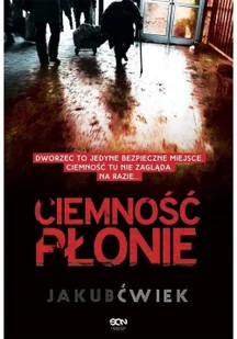 Sine Qua Non Ciemność płonie Jakub Ćwiek 154381 - Powieści Sine Qua Non Ciemność płonie Jakub Ćwiek 154381 - Powieści - miniaturka - grafika 3