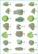 Zabawki kreatywne - Tatuaże tymczasowe, zmywlne, drawing trees, drzewa, format arkusz A4 - miniaturka - grafika 1