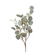 Donice - Boltze Gałązka ozdobna "Eukalyptus" w kolorze zielonym - dł. 69 cm - miniaturka - grafika 1