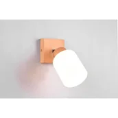 Lampy sufitowe - Trio Rl Sprout R31291002 lampa wisząca zwis 1x40W E14 czarna - miniaturka - grafika 1