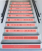 Pomoce naukowe - Naklejki na schody: Grupy Krwi - miniaturka - grafika 1