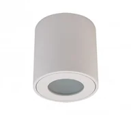 Lampy sufitowe - Masterled Aqua IP54 lampa sufitowa tuba czarna do łazienki 7297lv - miniaturka - grafika 1