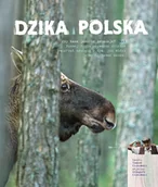 Albumy krajoznawcze - Dzika Polska - miniaturka - grafika 1