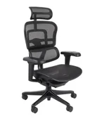 Fotele i krzesła biurowe - Fotel ergonomiczny Ergohuman 2 Ultra BS Black, biurowy, obracany, na kółkach, do biura - miniaturka - grafika 1