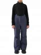 Spodnie narciarskie - Chłopięce spodnie narciarskie 4F M0949 22S antracyt 158 cm - miniaturka - grafika 1