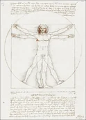 Plakaty - Vitruvian Man, Leonardo Da Vinci -  plakat Wymiar do wyboru: 50x70 cm - miniaturka - grafika 1