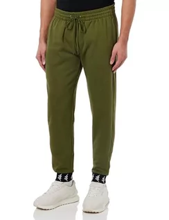 Spodenki męskie - Kappa STYLECODE: 312052 męskie spodnie dresowe, krój regularny, Winter Moss, L - grafika 1